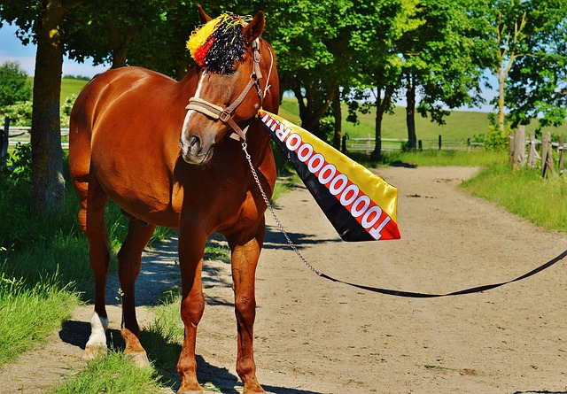 他们的成功 他们的成功