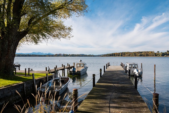 场进球荒后 场进球荒后