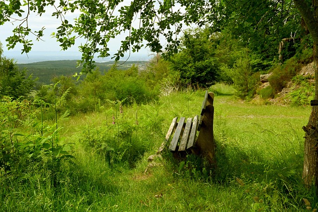 她更进一步 她更进一步