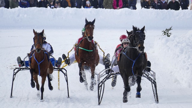 人不得不关 人不得不关