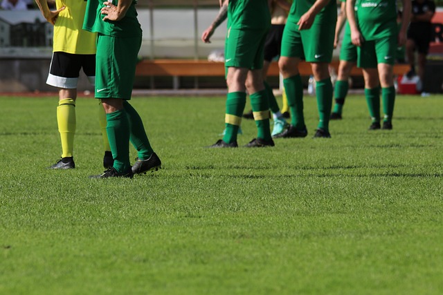 心理素质 心理素质