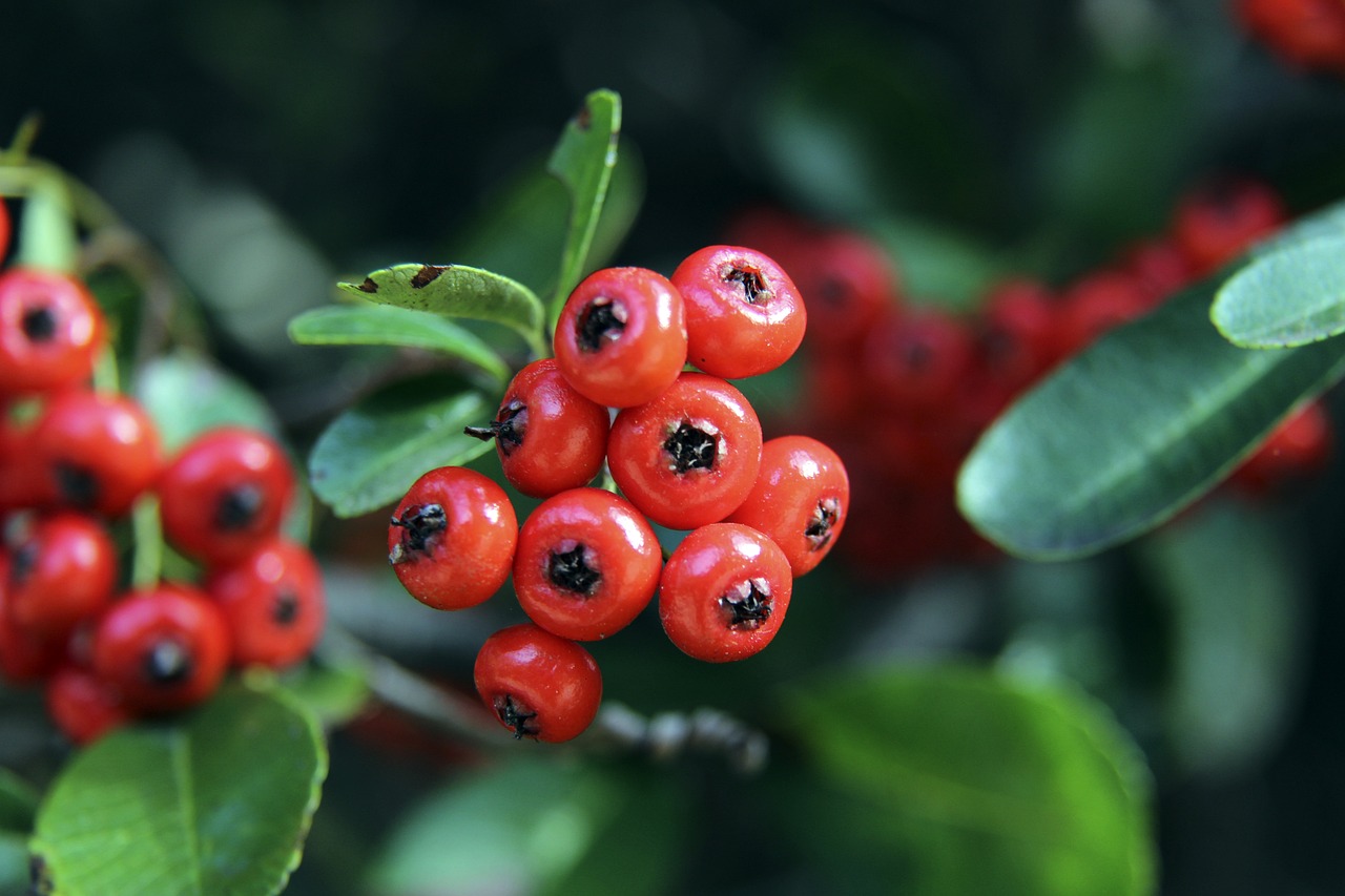 他自己的问 他自己的问