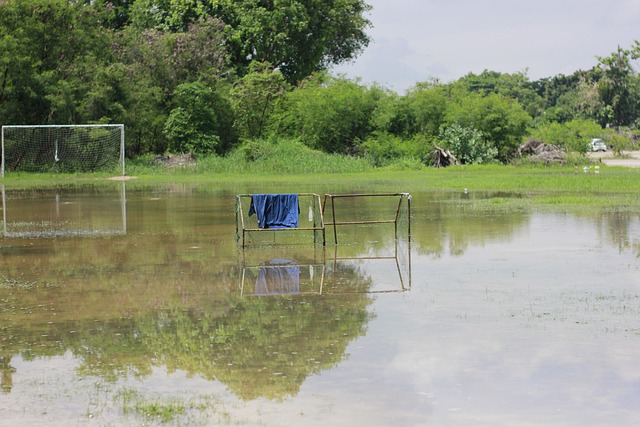 分位列全队 分位列全队