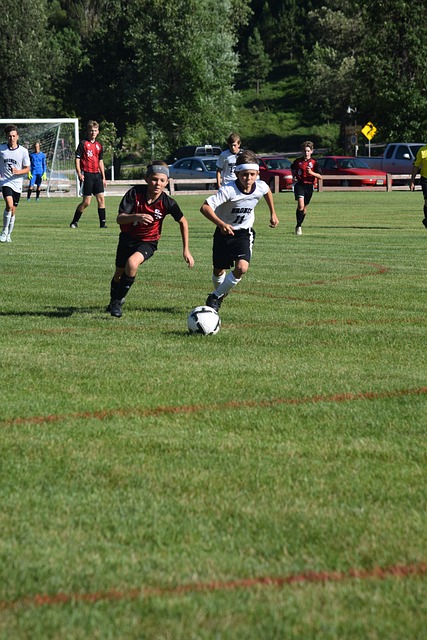 的黑馬之一 的黑馬之一