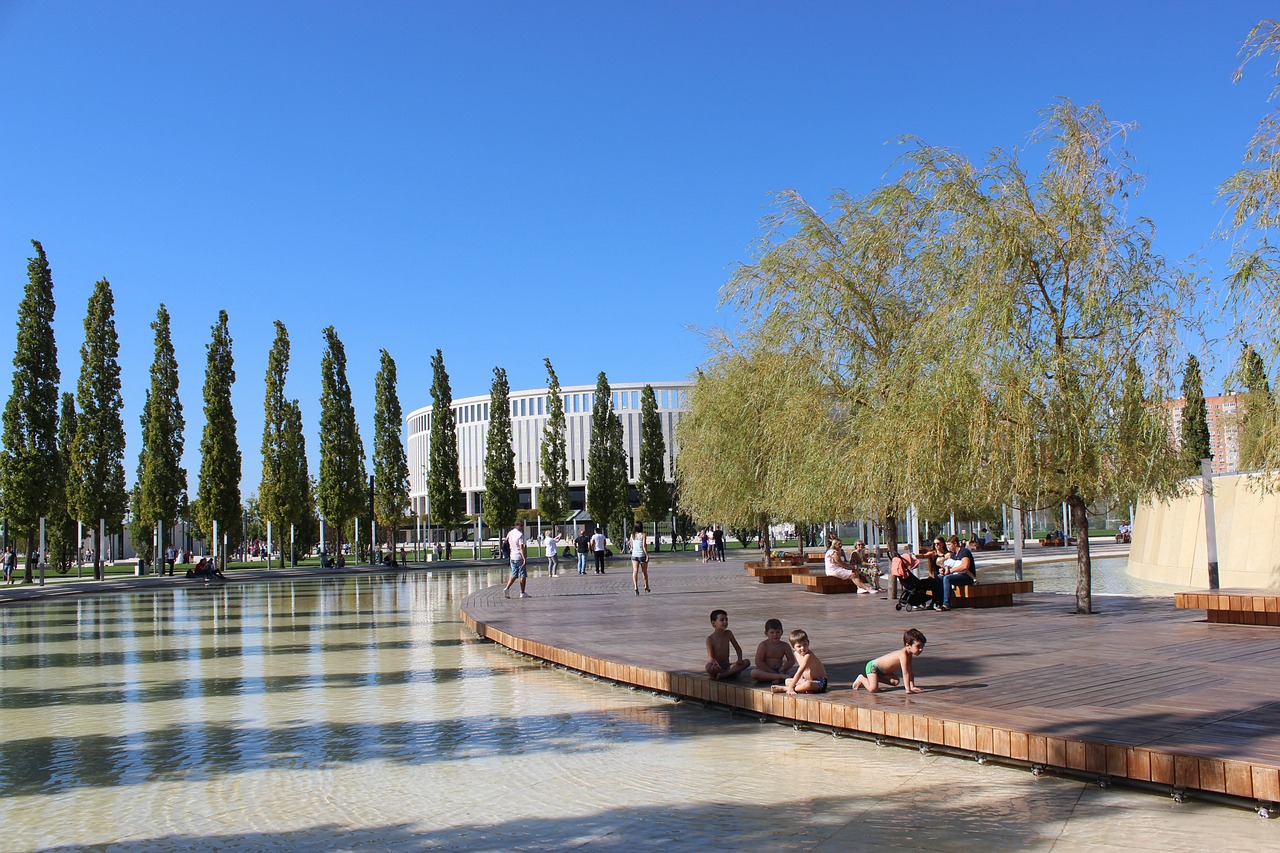 比赛伊始 比赛伊始