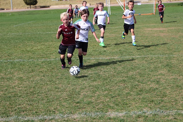 能型球员 能型球员