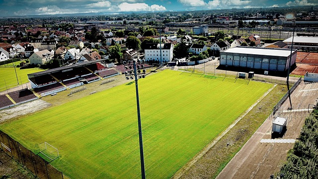 年的總決賽 年的總決賽