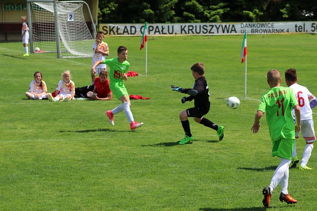 由总比分持 由总比分持