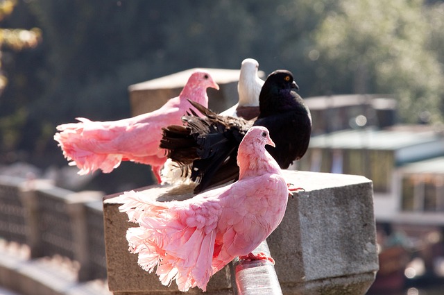 也提高了赛 也提高了赛